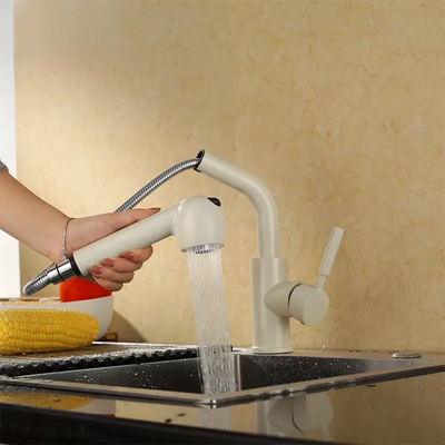 Robinet cuisine douchette avec 2 jets modulables